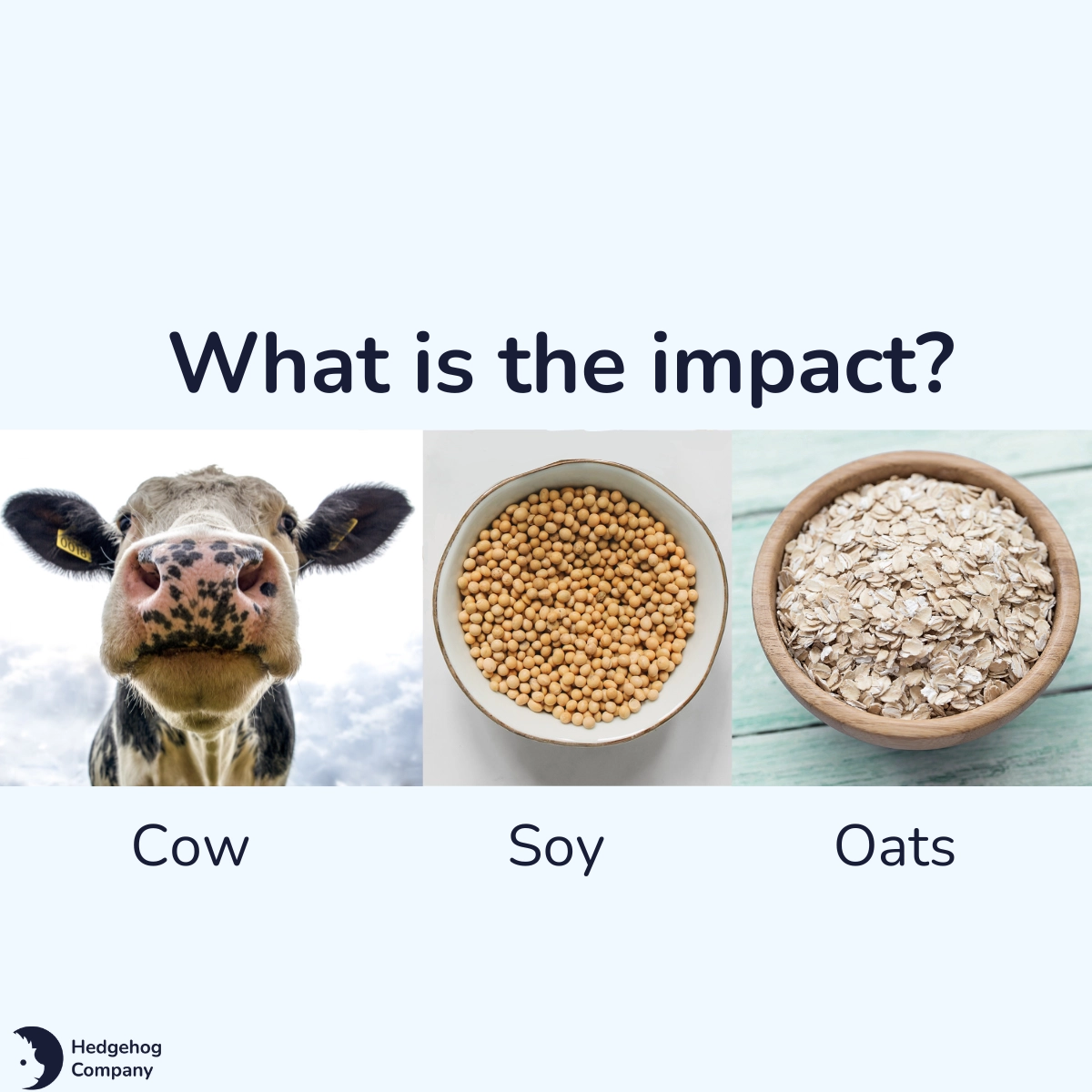 How do you drink your coffee? The impact of cow's milk vs. soy milk vs